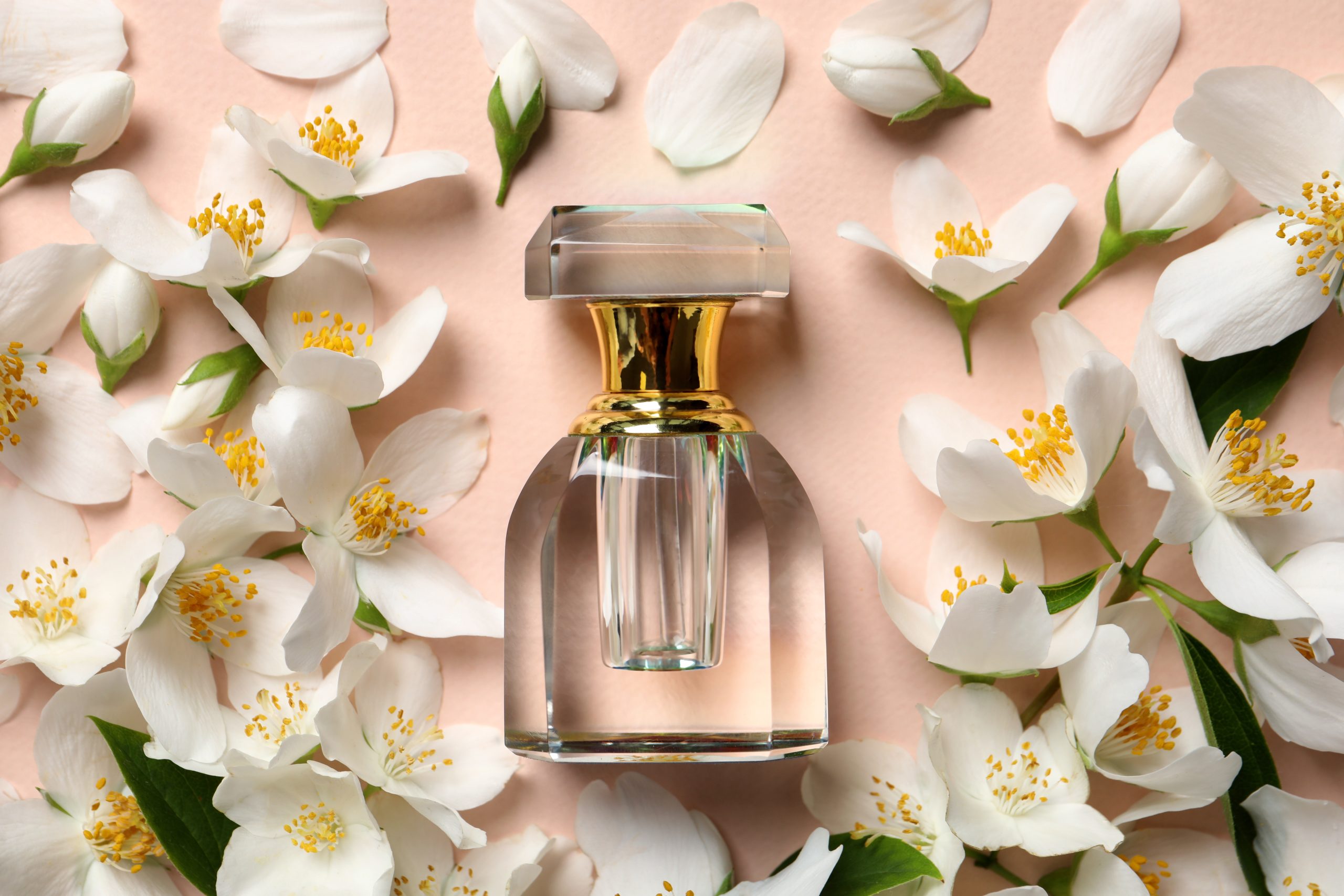 parfums au jasmin